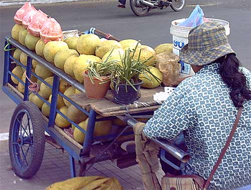 fruit for sale on the street in phnom penh, groick t'lung 