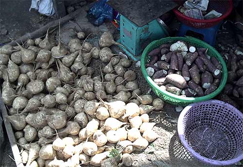 vegetable plai beh! goouk in cambodia asia