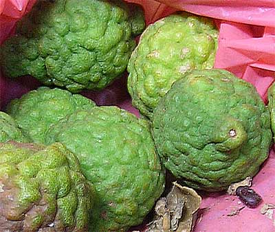 groick sowik fruit in cambodia asia