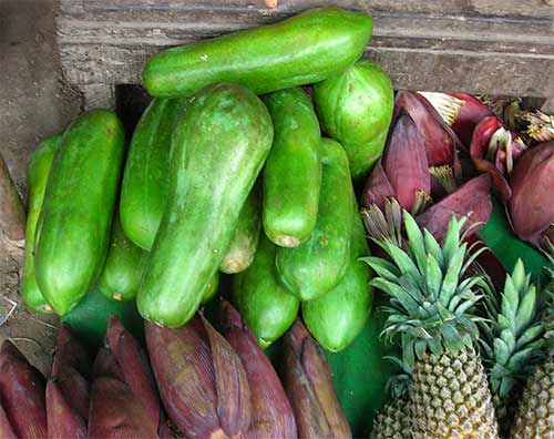 l'hong k'jay fruit in cambodia asia