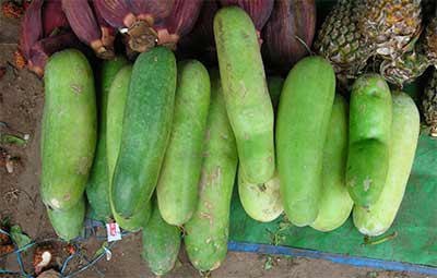 dtrawlaak vegetable in cambodia