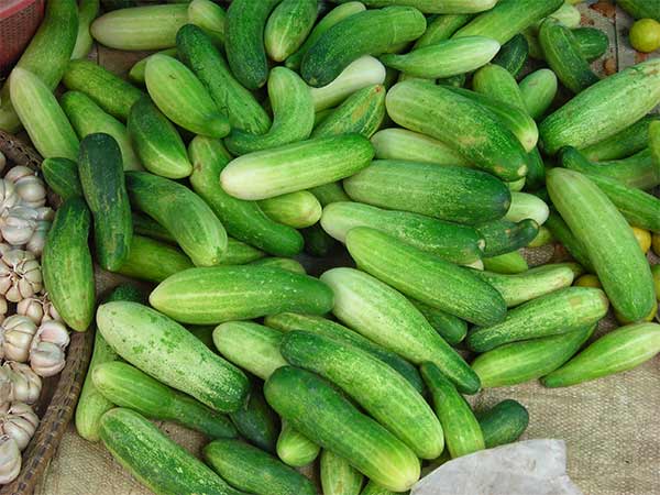 cambodian cucumbers
