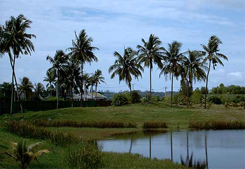 golf course cambodia trees