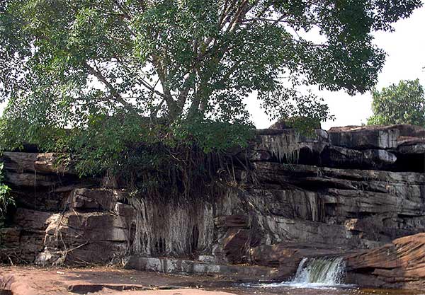 kbal chay waterfall trees cambodia