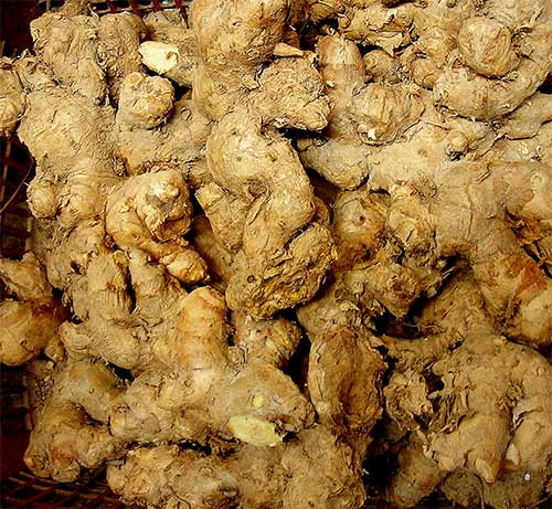 chinese herbs, ginger in cambodia