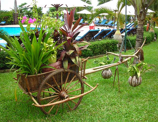 another cambodian oxcart with plants